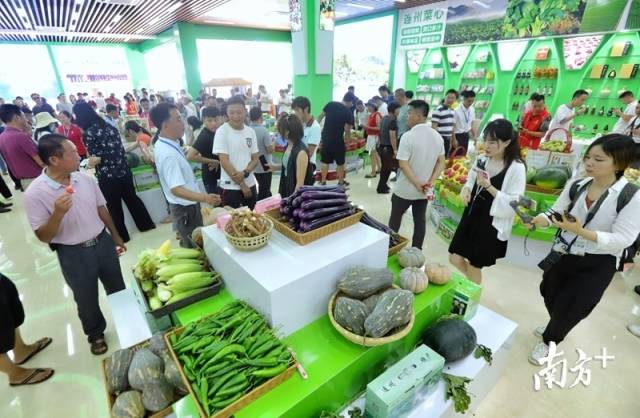 連州土壤硒含量豐富，富硒農(nóng)特產(chǎn)品吸引了眾人關(guān)注的目光。梁素雅 攝