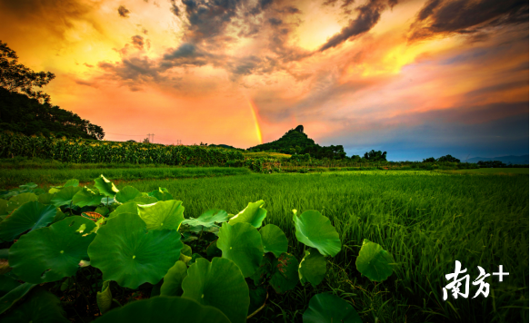 巾峰綠海。成堅(jiān)強(qiáng) 攝