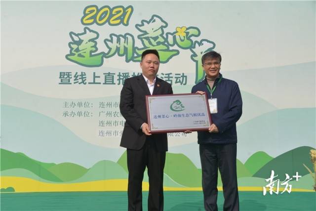 連州菜心獲評(píng)“嶺南生態(tài)氣候優(yōu)品”，廣東省氣象局一級(jí)巡視員、省氣象學(xué)會(huì)理事長梁建茵為連州菜心授牌。張曉欣 攝