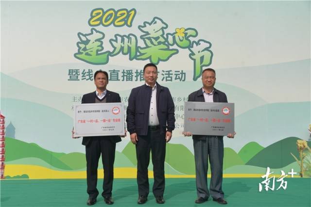 西岸鎮(zhèn)被評(píng)為廣東省“一村一品 一鎮(zhèn)一業(yè)”專業(yè)鎮(zhèn)（連州菜心），龍坪鎮(zhèn)被評(píng)為廣東省“一村一品 一鎮(zhèn)一業(yè)”專業(yè)鎮(zhèn)（連州水晶梨）。張曉欣 攝