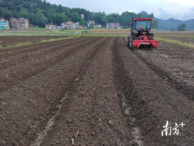 東方紅農(nóng)耕機正在試運作。