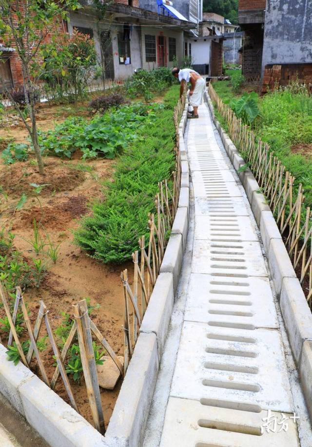 50個自然村建有污水處理系統(tǒng)。記者黃津 攝