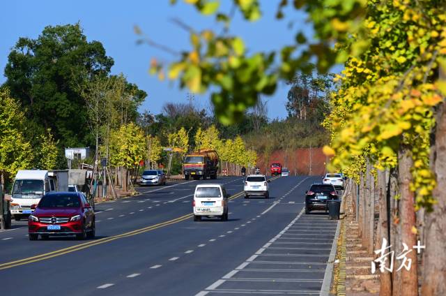 連州近5年累計(jì)投入20億元優(yōu)化升級交通設(shè)施。黃津 攝
