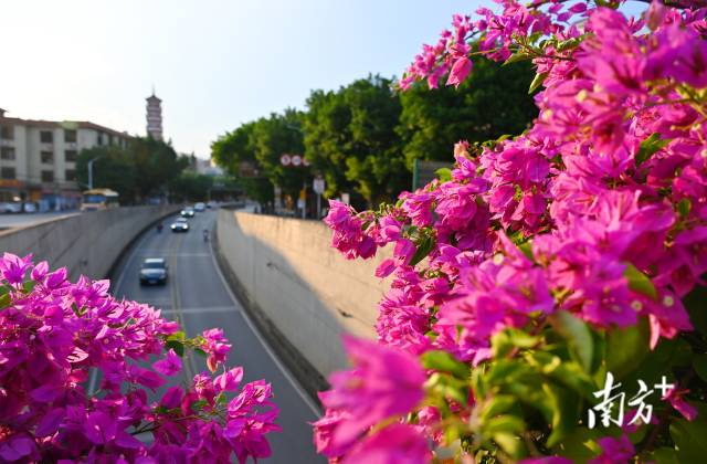 連州織就一張“外聯(lián)內(nèi)暢、城鄉(xiāng)融合”的立體交通藍(lán)圖。黃津 攝