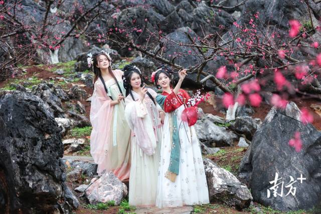 國風少女打卡連州桃花季。