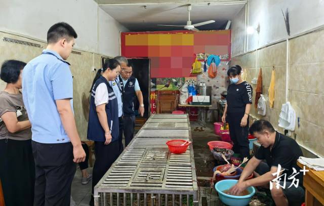 開展聯(lián)合檢查，為鳥類等野生動物撐起堅實的“保護傘”。