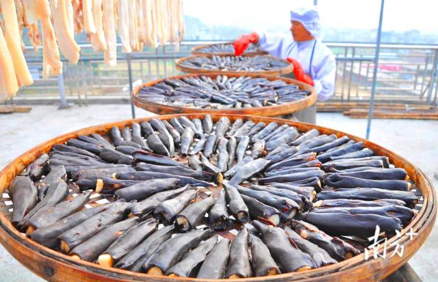 東陂鎮(zhèn)全力把東陂臘味申報(bào)為國(guó)家級(jí)非物質(zhì)文化遺產(chǎn)。黃津 攝