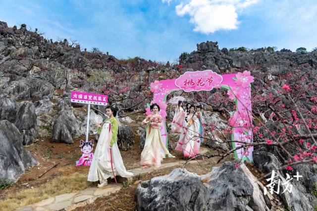 石林桃園依托獨(dú)特地貌打造，還布置了桃花主題打卡點(diǎn)。愛地旅游 供圖