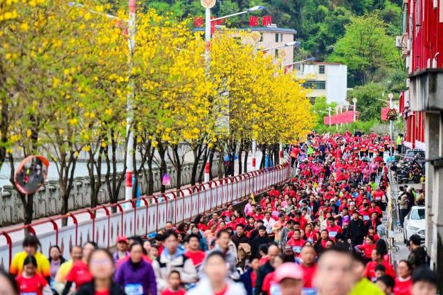 連南半程馬拉松。