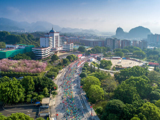 花徑瑤馬，綠美連南。賴文鋒 攝